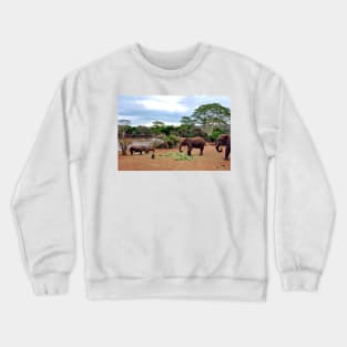 African Elephant White Rhinoceros South Africa Crewneck Sweatshirt